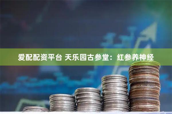爱配配资平台 天乐园古参堂：红参养神经