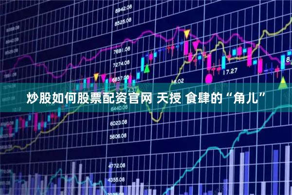 炒股如何股票配资官网 天授 食肆的“角儿”