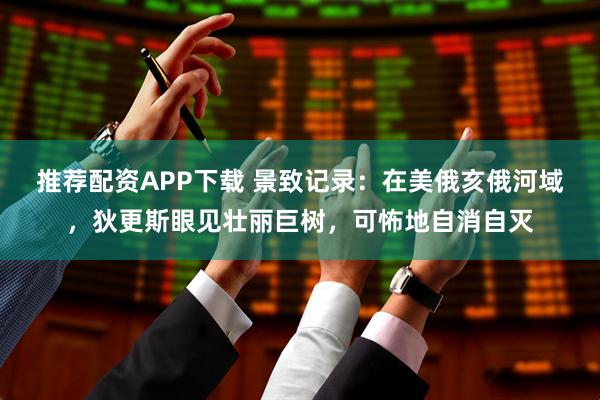 推荐配资APP下载 景致记录：在美俄亥俄河域，狄更斯眼见壮丽巨树，可怖地自消自灭