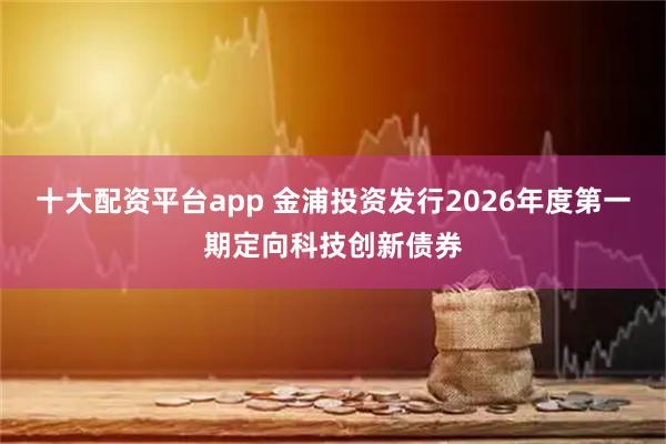 十大配资平台app 金浦投资发行2026年度第一期定向科技创新债券